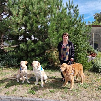 20260902_chiens guides