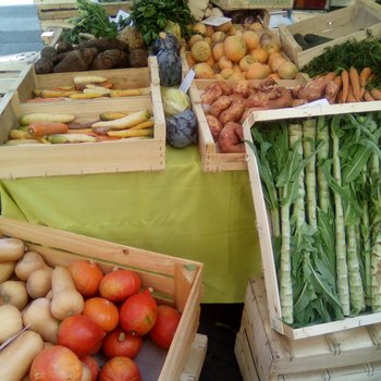 Légumes / maraîchage