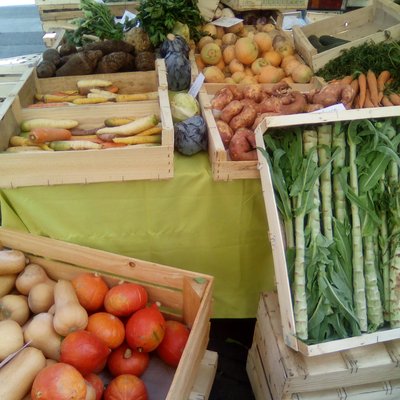 Légumes / maraîchage