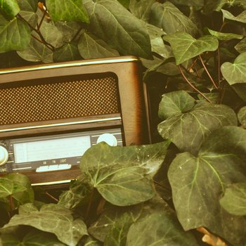 abbas-tehrani-rAS-z4ZbgO4-unsplash