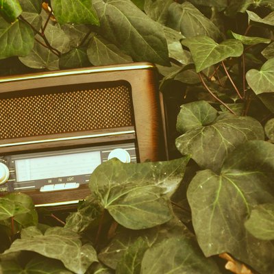 abbas-tehrani-rAS-z4ZbgO4-unsplash