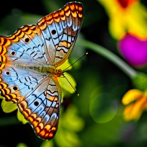 alfred-schrock-shoE2y51uX0-unsplash