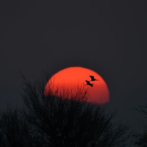 amit-rai-fOaC7rpstZg-unsplash