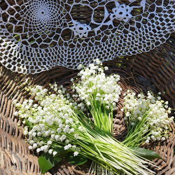 anna-szentgyorgyi-g75dILE5JdE-unsplash