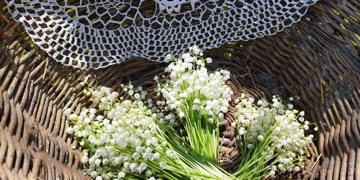 anna-szentgyorgyi-g75dILE5JdE-unsplash