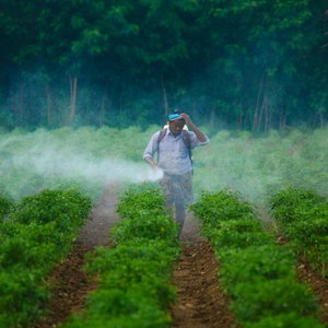 b-udaykiran-1JsVrsGCAlY-unsplash