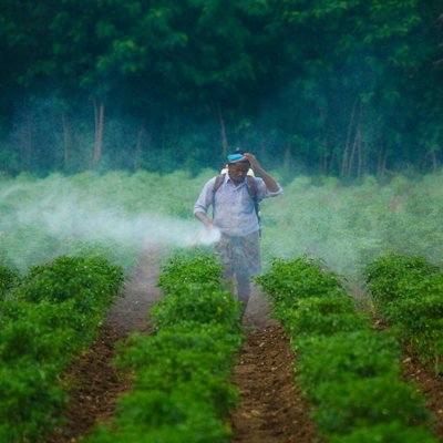 b-udaykiran-1JsVrsGCAlY-unsplash