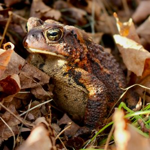 cecile-mousist-zIjC86m8Hu0-unsplash