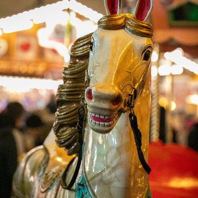 christine-futter-WP1fHo0cCL0-unsplash
