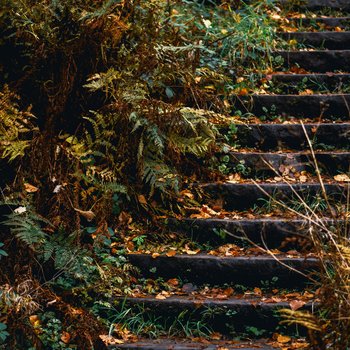 eilis-garvey-AgIKNC9zZQQ-unsplash