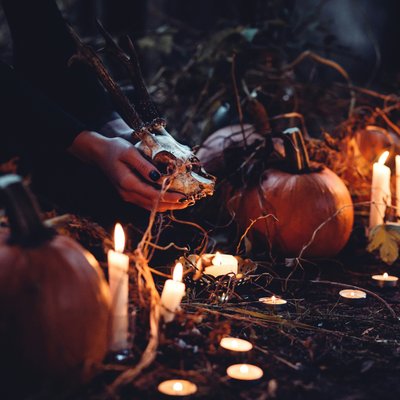 freestocks-twVS-YjQn9Y-unsplash