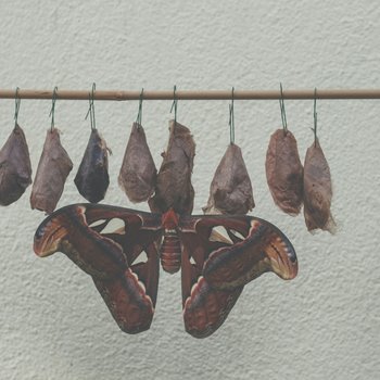 gabriela-tamara-cycman-I-EiXkwo1fU-unsplash