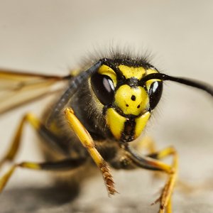 gidlark-WerEr3XEM44-unsplash