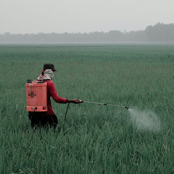 ilham-wicaksono-eW5mFV6Hmps-unsplash