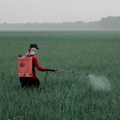 ilham-wicaksono-eW5mFV6Hmps-unsplash