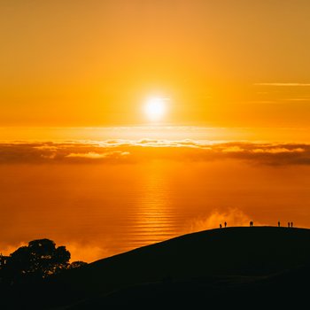 john-towner-CakC6u4d95g-unsplash
