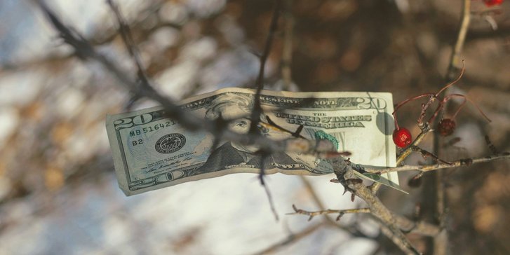 joshua-hoehne-Ia6x4F6CfEQ-unsplash