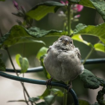 juho-luomala-kR3IGuVG3bU-unsplash