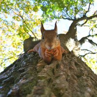 kylli-kittus-qyt0cPByJjs-unsplash