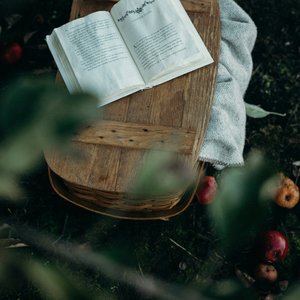 liana-mikah-2t4Ji-nARqA-unsplash