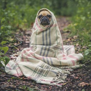 matthew-henry-U5rMrSI7Pn4-unsplash