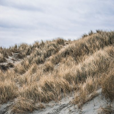 max-van-den-oetelaar-MhNdG6Apk38-unsplash