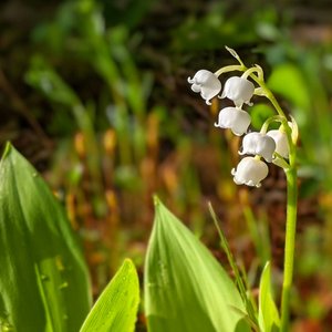 mike-lerley-bsVF96iNdfQ-unsplash