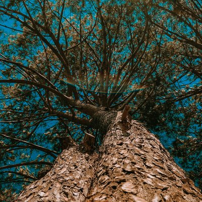 patricia-abdallah-VFHB-cqT624-unsplash