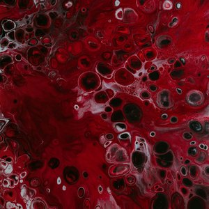pawel-czerwinski-wZHDa7cD7Ps-unsplash