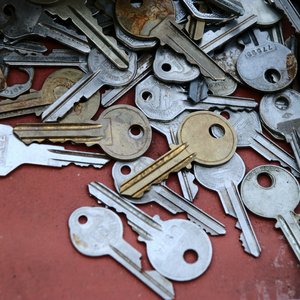 samantha-lam-zFy6fOPZEu0-unsplash