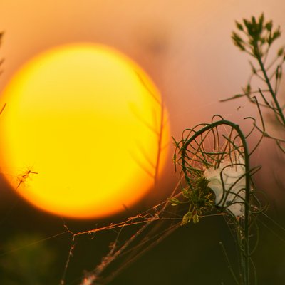 stabel-webel-IqfPyBrNjWA-unsplash