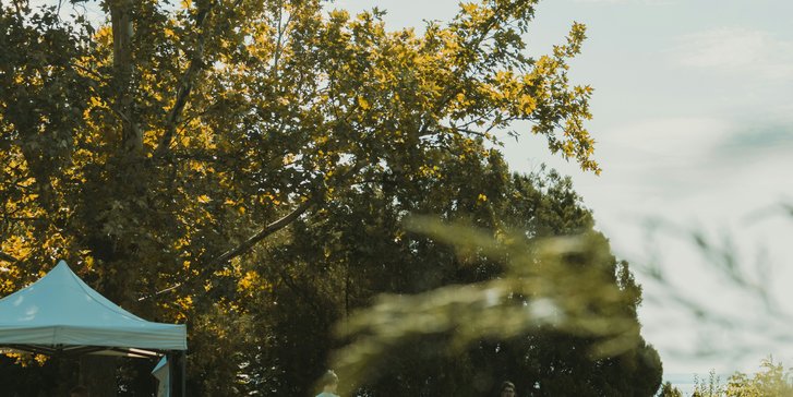 szabo-viktor-IBCt3WsBYv4-unsplash
