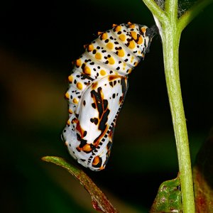 thomas-elliott-Uy93oxog3i4-unsplash
