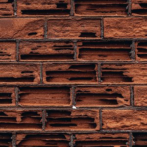 vadym-alyekseyenko-fF_EkoFYGMY-unsplash